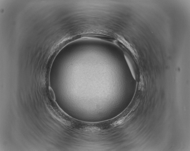 X0000086880203200704231111