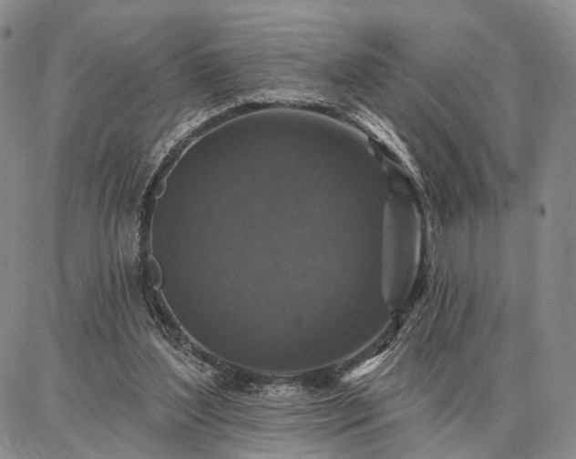 X0000086880204200704231111