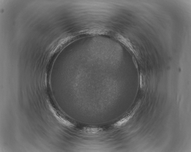 X0000086880205200704231111