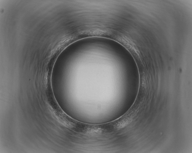 X0000086880206200704231111