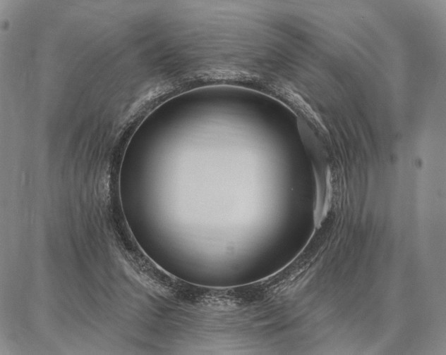 X0000086880207200704231111