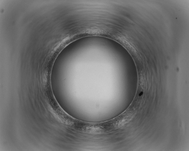 X0000086880208200704231111