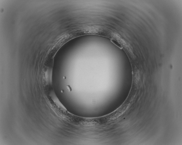 X0000086880209200704231111