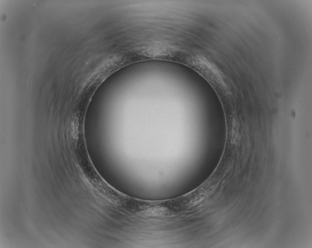 X0000086880210200704231111