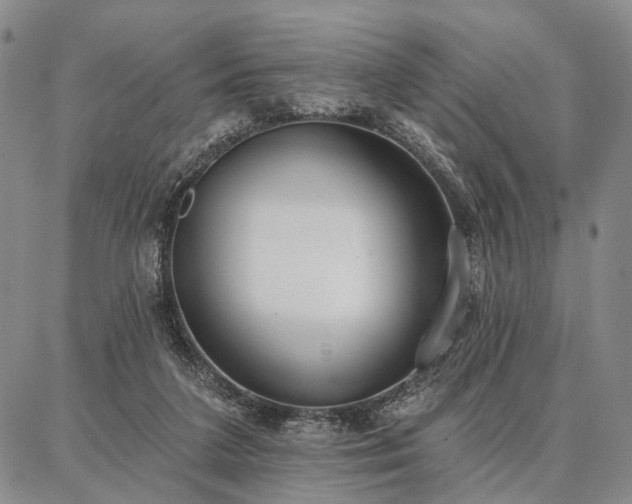 X0000086880211200704231111