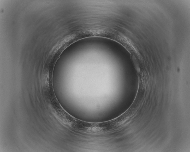 X0000086880212200704231111