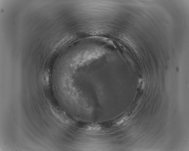 X0000086880214200704231111