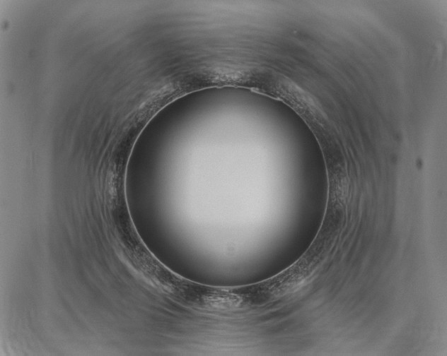 X0000086880215200704231111