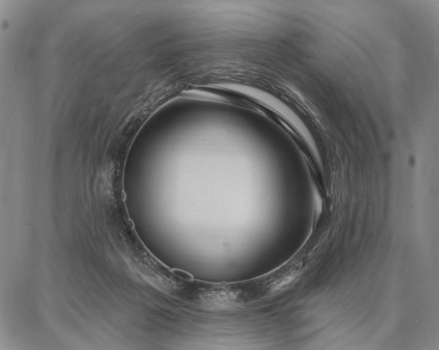 X0000086880217200704231111