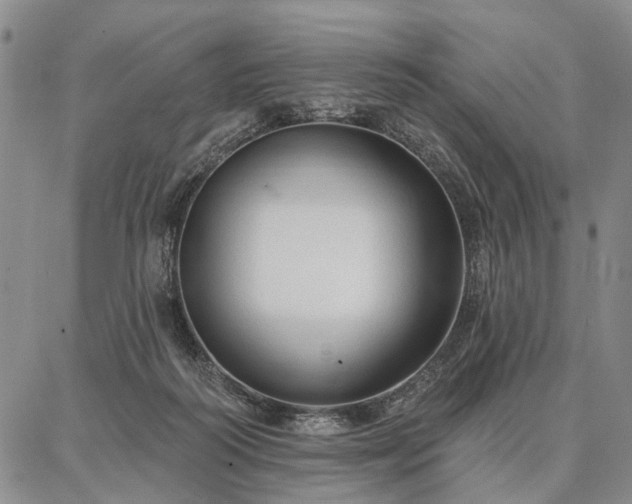 X0000086880218200704231111