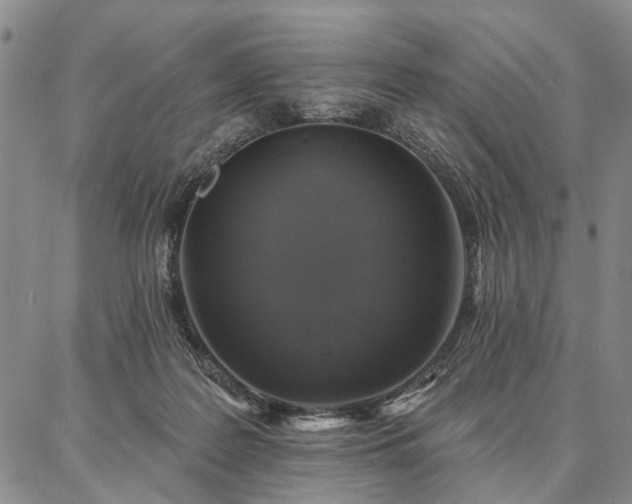 X0000086880219200704231111