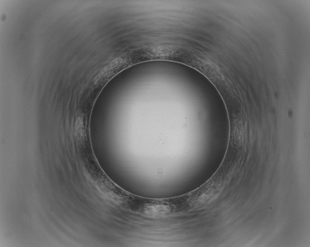 X0000086880220200704231111