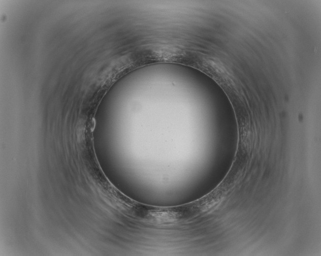 X0000086880221200704231111