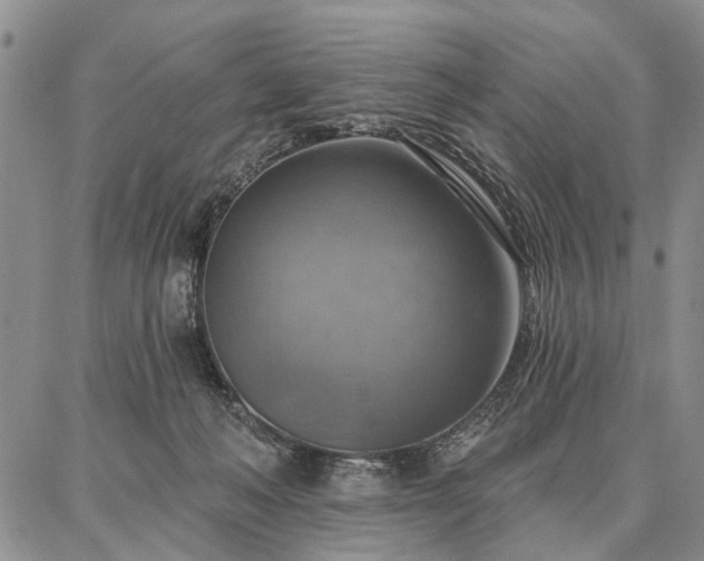 X0000086880222200704231111