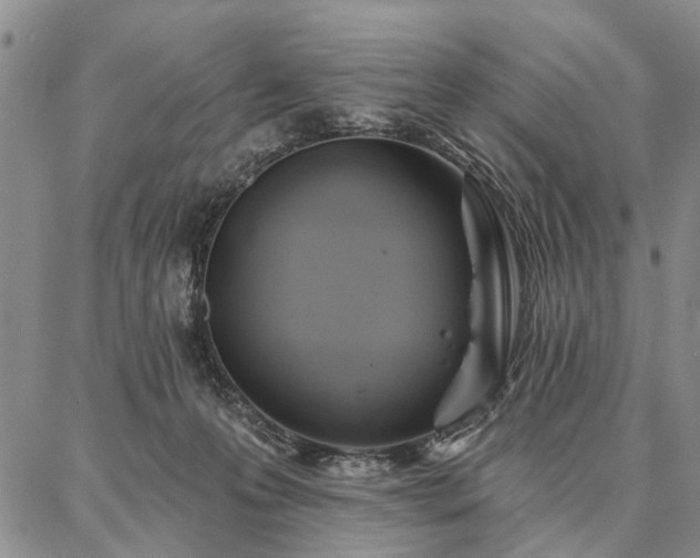 X0000086880223200704231111