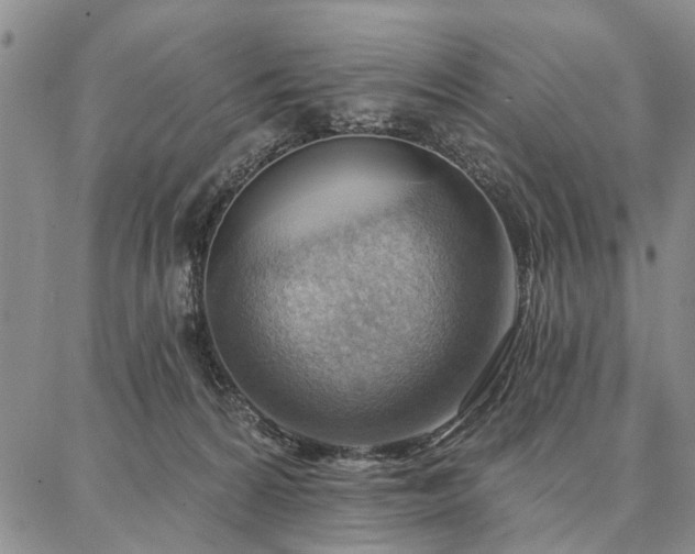 X0000086880224200704231111