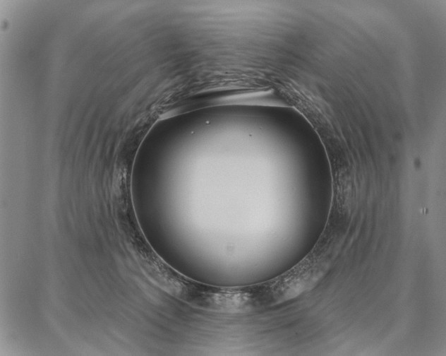 X0000086880225200704231111