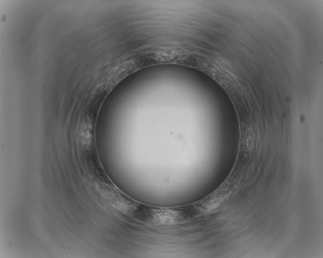 X0000086880226200704231111