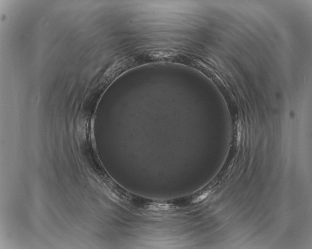 X0000086880227200704231111