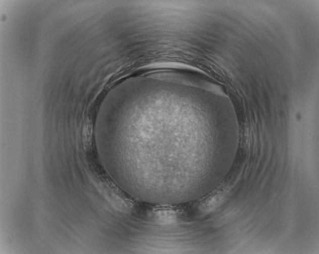 X0000086880228200704231111