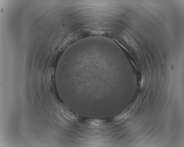 X0000086880229200704231111