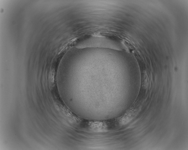 X0000086880230200704231111