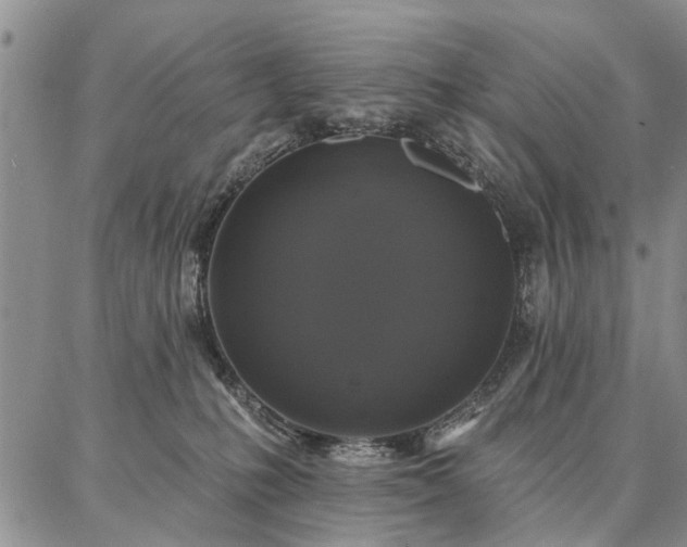 X0000086880231200704231111