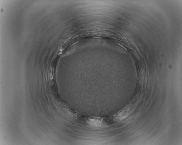 X0000086880232200704231111