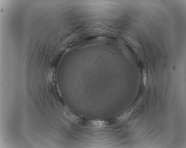 X0000086880233200704231111