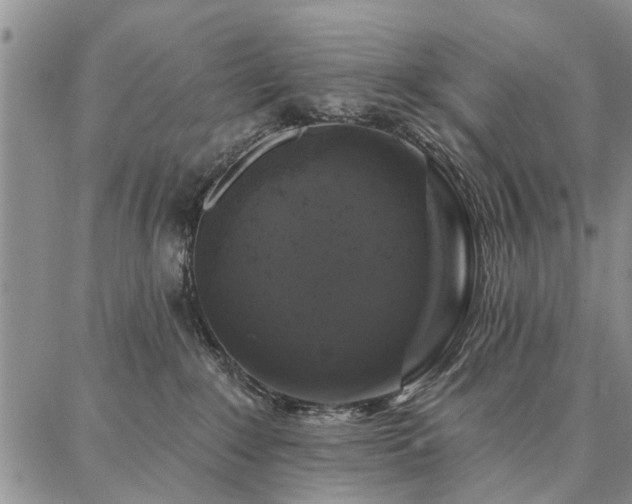 X0000086880235200704231111