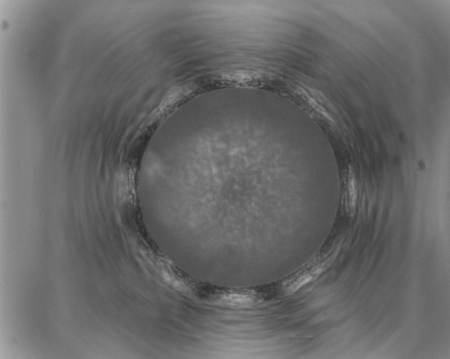 X0000086880236200704231111