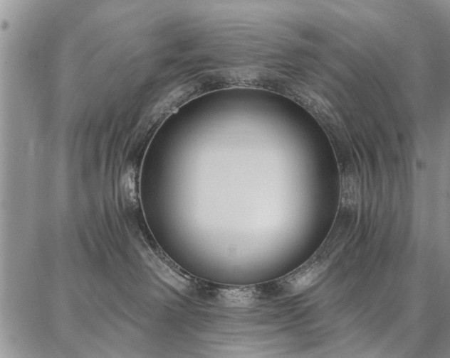 X0000086880238200704231111