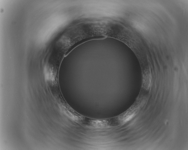 X0000086880239200704231111