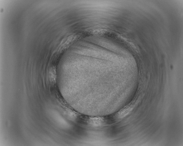 X0000086880240200704231111