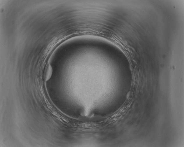 X0000086880241200704231110