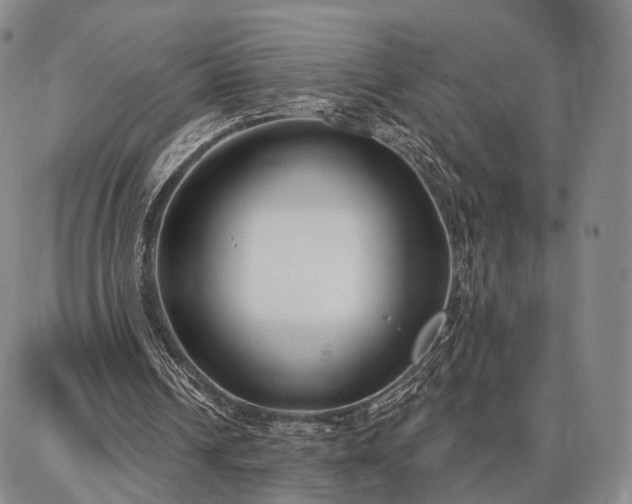 X0000086880242200704231110