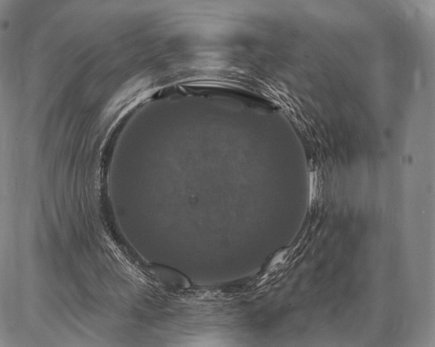 X0000086880243200704231110