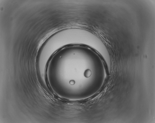 X0000086880244200704231110