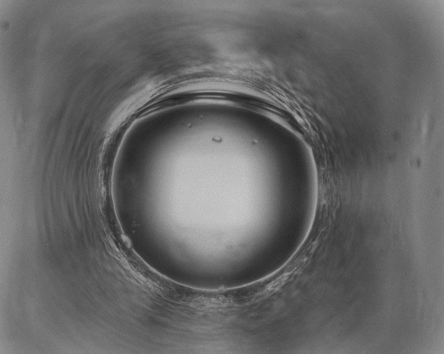 X0000086880245200704231110