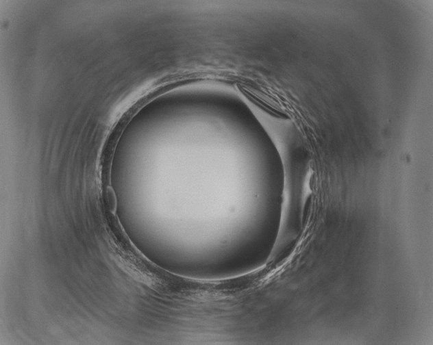 X0000086880246200704231110