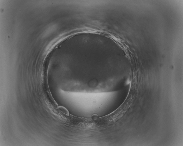 X0000086880247200704231110