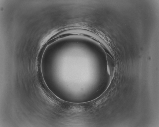 X0000086880248200704231110