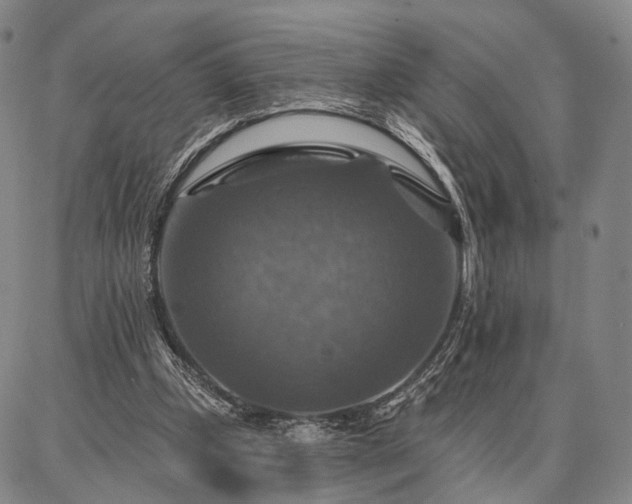 X0000086880249200704231110