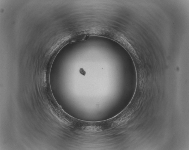 X0000086880251200704231110