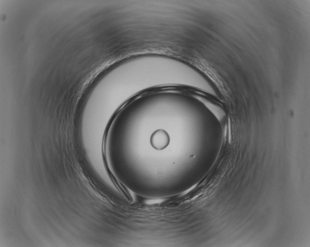 X0000086880252200704231110