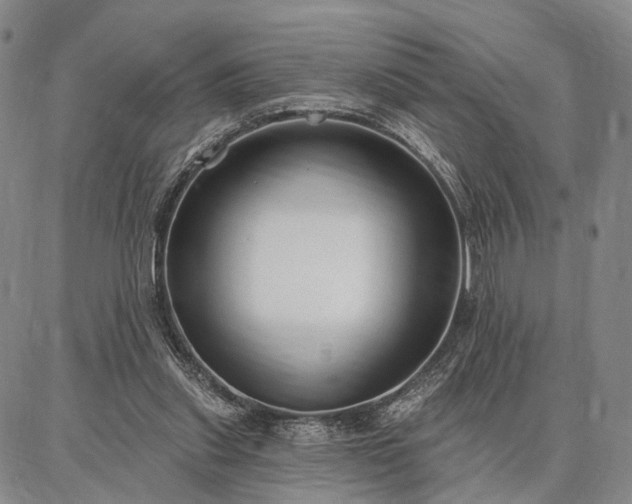 X0000086880253200704231110