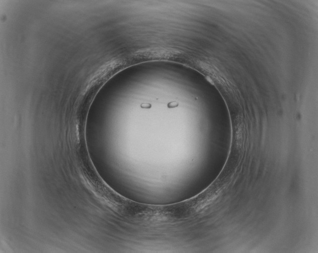 X0000086880254200704231110