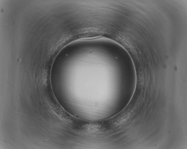 X0000086880255200704231110