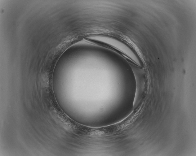 X0000086880257200704231110