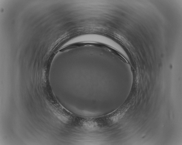 X0000086880258200704231110